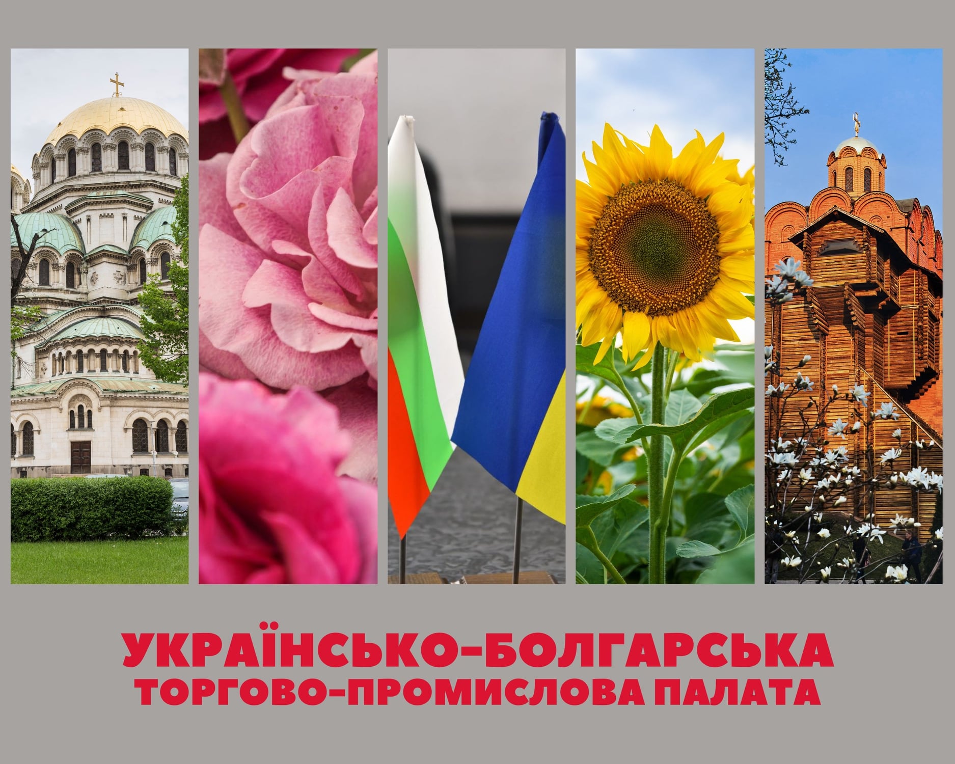 Українсько-Болгарська торгово-промислова палата запрошує до співробітництва